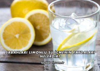 Sabahları Limonlu Su İçmenin Faydaları Nelerdir?