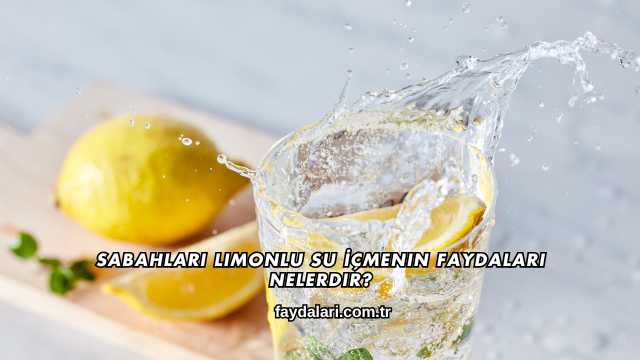 Sabahları Limonlu Su İçmenin Faydaları Nelerdir?