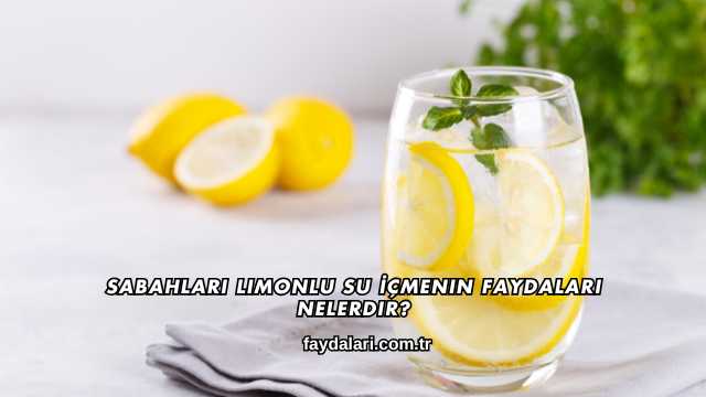Sabahları Limonlu Su İçmenin Faydaları Nelerdir?