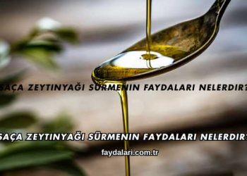 Saça Zeytinyağı Sürmenin Faydaları Nelerdir?