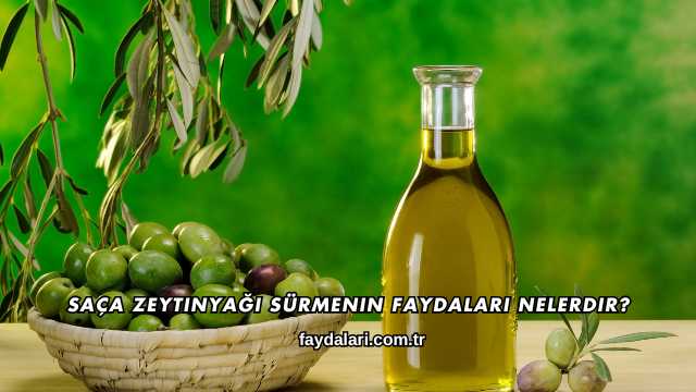 Saça Zeytinyağı Sürmenin Faydaları Nelerdir?