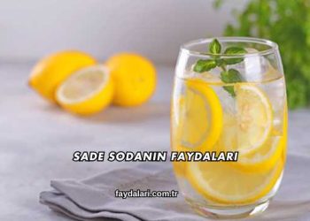 Sade Sodanın Faydaları