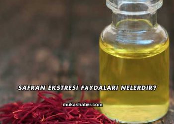 Safran Ekstresi Faydaları Nelerdir?