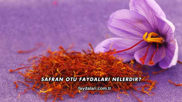 Safran Otu Faydaları Nelerdir?