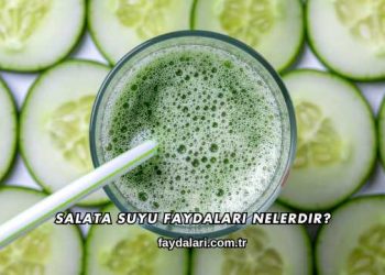 Salata Suyu Faydaları Nelerdir?