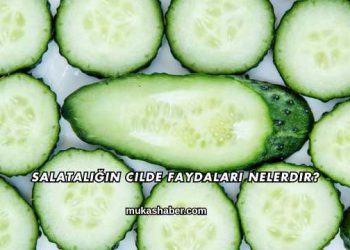 Salatalığın Cilde Faydaları Nelerdir?