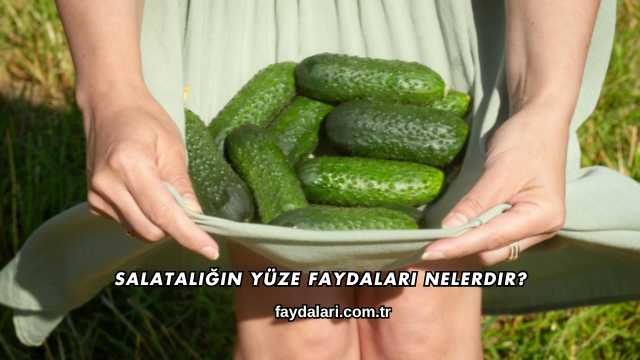 Salatalığın Yüze Faydaları Nelerdir?
