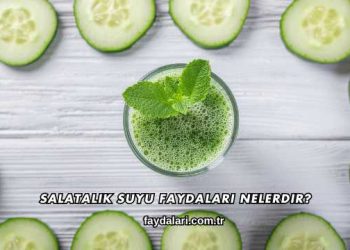 Salatalık Suyu Faydaları Nelerdir?