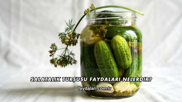 Salatalık Turşusu Faydaları Nelerdir?