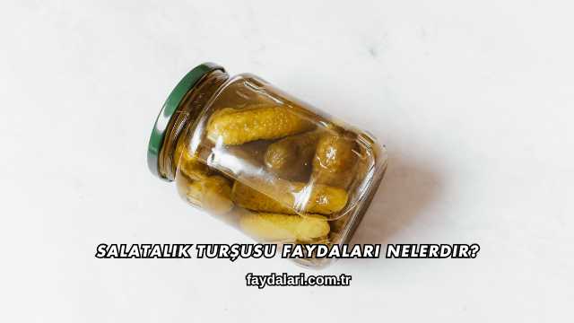 Salatalık Turşusu Faydaları Nelerdir?