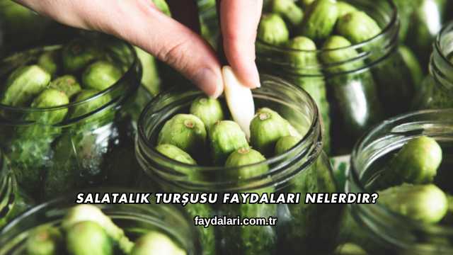 Salatalık Turşusu Faydaları Nelerdir?