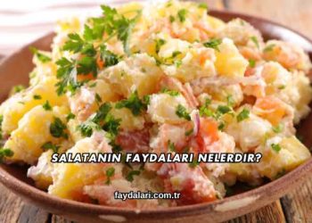 Salatanın Faydaları Nelerdir?