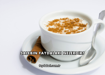 Salebin Faydaları Nelerdir?