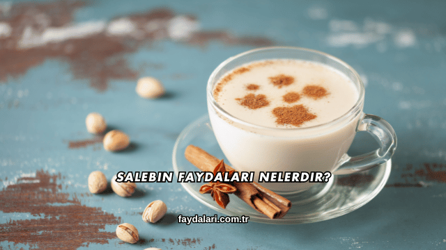 Salebin Faydaları Nelerdir?