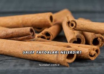 Salep Faydaları Nelerdir?