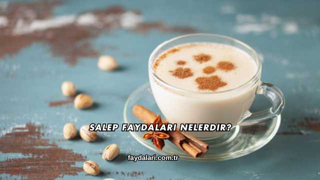 Salep Faydaları Nelerdir?