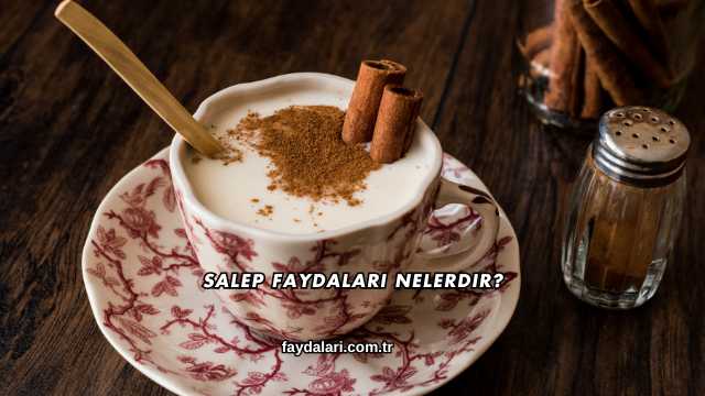 Salep Faydaları Nelerdir?
