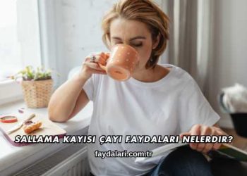 Sallama Kayısı Çayı Faydaları Nelerdir?
