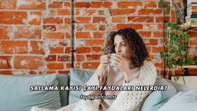 Sallama Kayısı Çayı Faydaları Nelerdir?