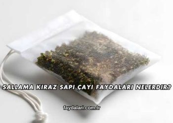 Sallama Kiraz Sapı Çayı Faydaları Nelerdir?