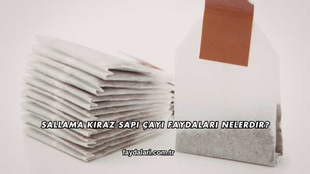 Sallama Kiraz Sapı Çayı Faydaları Nelerdir?