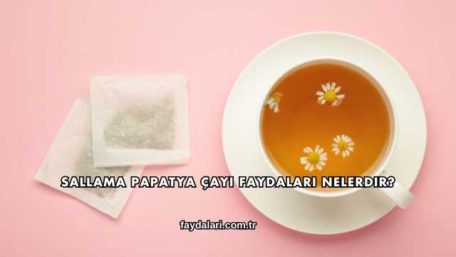 Sallama Papatya Çayı Faydaları Nelerdir?