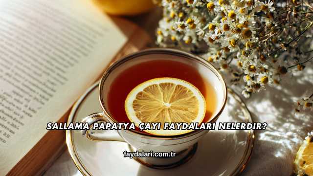 Sallama Papatya Çayı Faydaları Nelerdir?