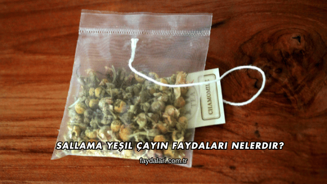 Sallama Yeşil Çayın Faydaları Nelerdir?