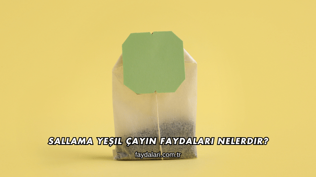 Sallama Yeşil Çayın Faydaları Nelerdir?