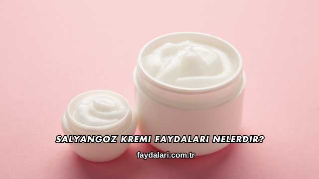 Salyangoz Kremi Faydaları Nelerdir?