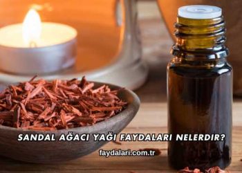 Sandal Ağacı Yağı Faydaları Nelerdir?