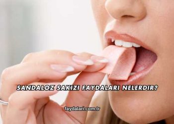 Sandaloz Sakızı Faydaları Nelerdir?