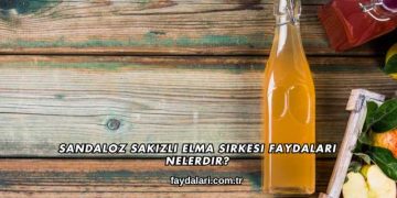 Sandaloz Sakızlı Elma Sirkesi Faydaları Nelerdir?