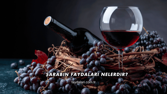 Şarabın Faydaları Nelerdir?