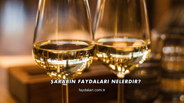 Şarabın Faydaları Nelerdir?