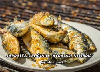 Sardalya Balığının Faydaları Nelerdir?