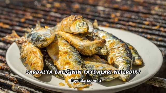 Sardalya Balığının Faydaları Nelerdir?