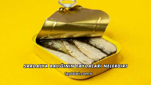 Sardalya Balığının Faydaları Nelerdir?