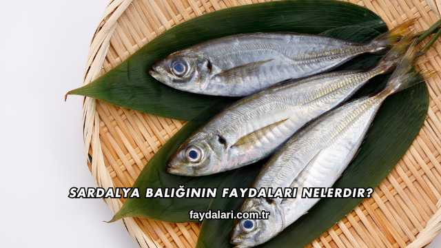 Sardalya Balığının Faydaları Nelerdir?