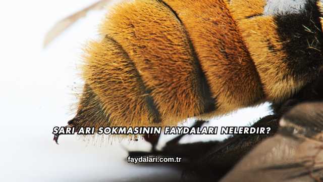 Sarı Arı Sokmasının Faydaları Nelerdir?