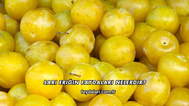 Sarı Eriğin Faydaları Nelerdir?