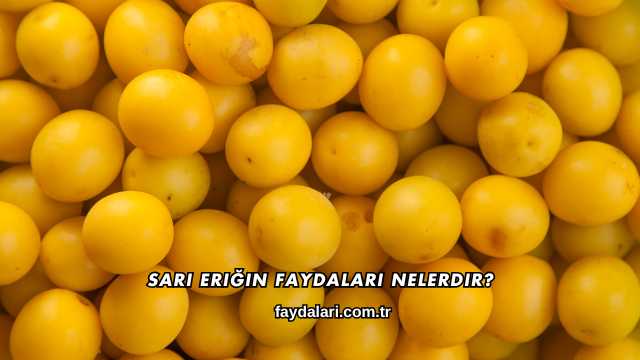 Sarı Eriğin Faydaları Nelerdir?