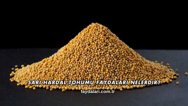Sarı Hardal Tohumu Faydaları Nelerdir?