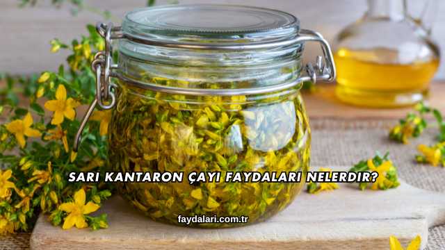 Sarı Kantaron Çayı Faydaları Nelerdir?