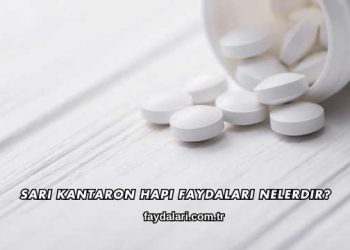 Sarı Kantaron Hapı Faydaları Nelerdir?