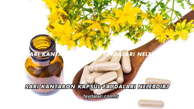 Sarı Kantaron Kapsül Faydaları Nelerdir?
