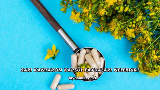 Sarı Kantaron Kapsül Faydaları Nelerdir?