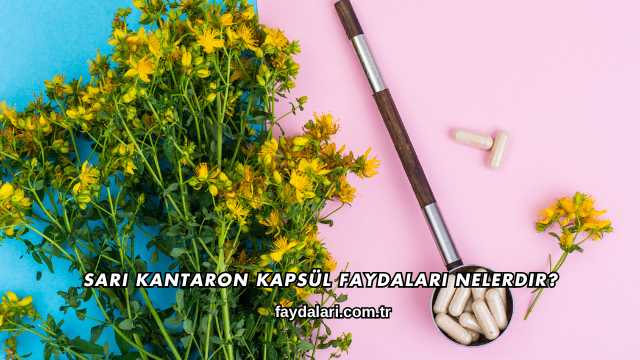 Sarı Kantaron Kapsül Faydaları Nelerdir?