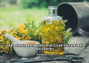 Sarı Kantaron Yağının Cilde Faydaları Nelerdir?