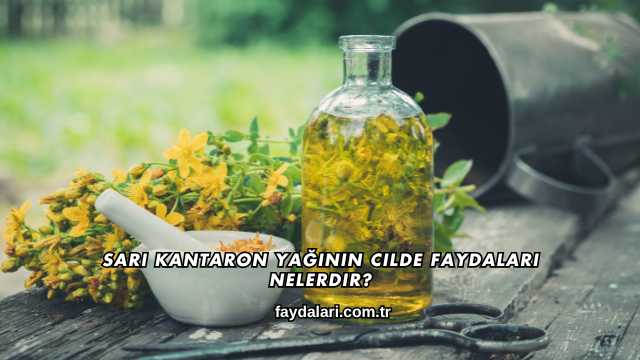 Sarı Kantaron Yağının Cilde Faydaları Nelerdir?